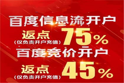 竞价广告的创意与执行：一则经典案例剖析